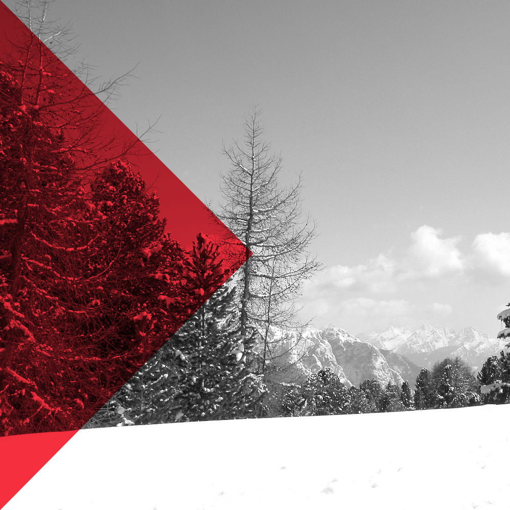 Snowy landscape with trees and mountains, featuring a red and white geometric design.